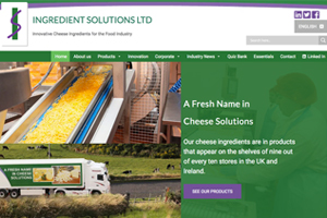 Ingredient Solutions Cheese Supplier